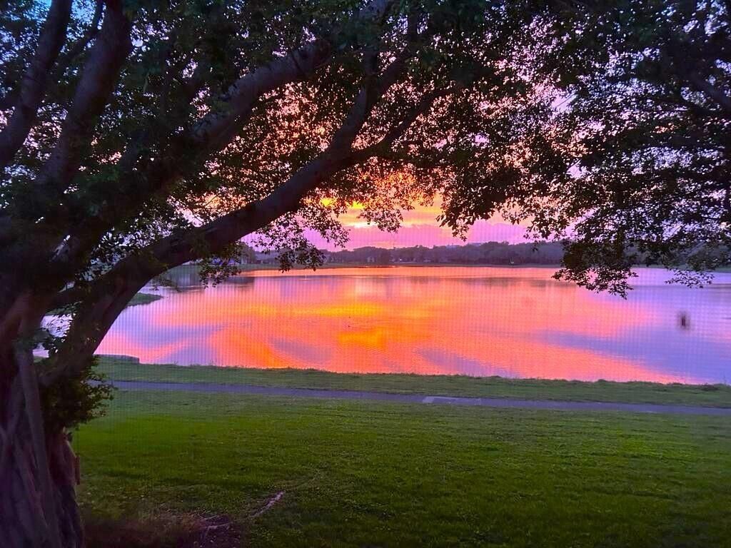 2900 Olivewood Terrace, Unit 203, Boca Raton, FL 33431 Photo