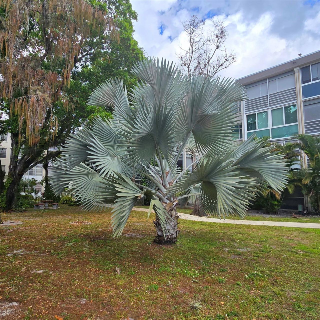 4898 NW 29th Court, Unit 412, Lauderdale Lakes, FL 33313 Photo