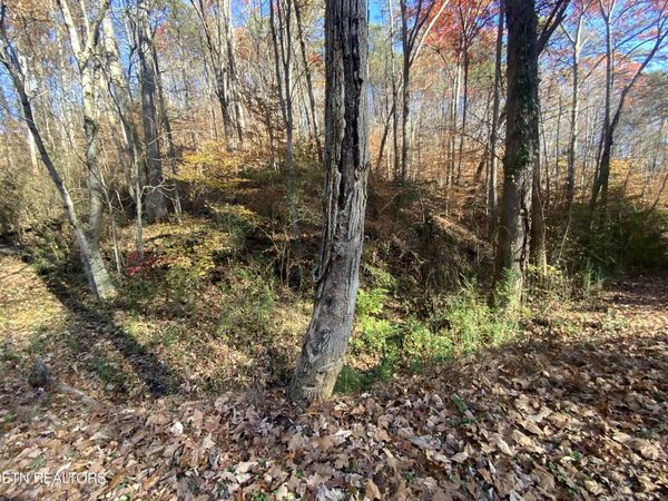 Mountain Side Lane, Rocky Top, TN 37769