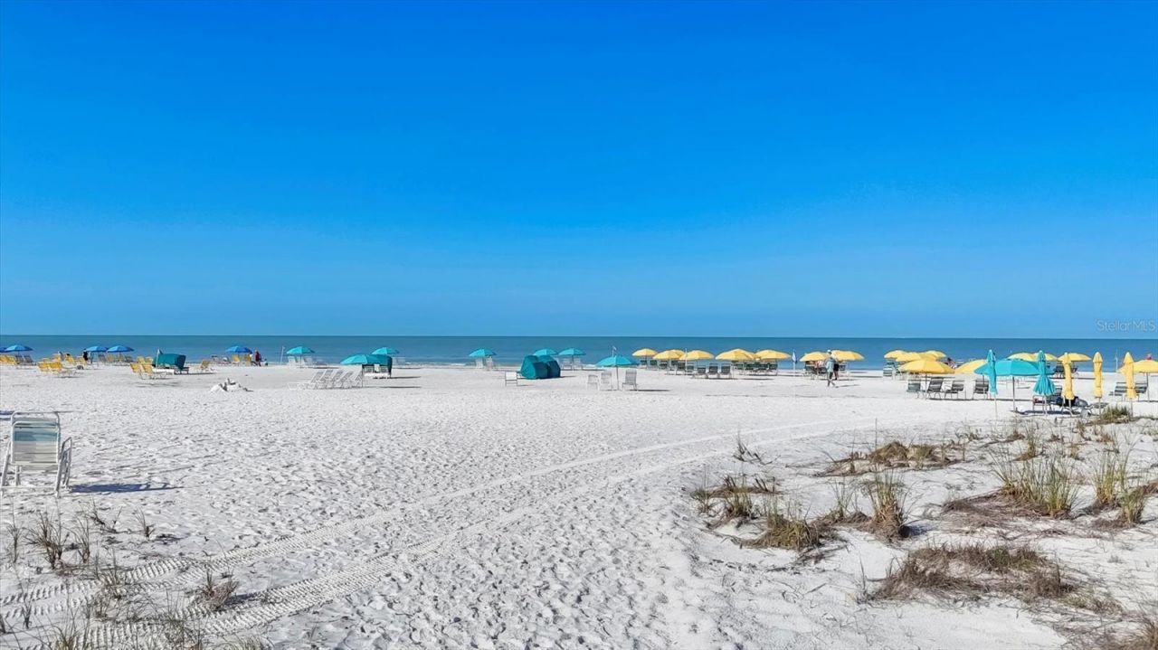 1250 N Portofino Drive, Unit 303, Sarasota, FL 34242 Photo