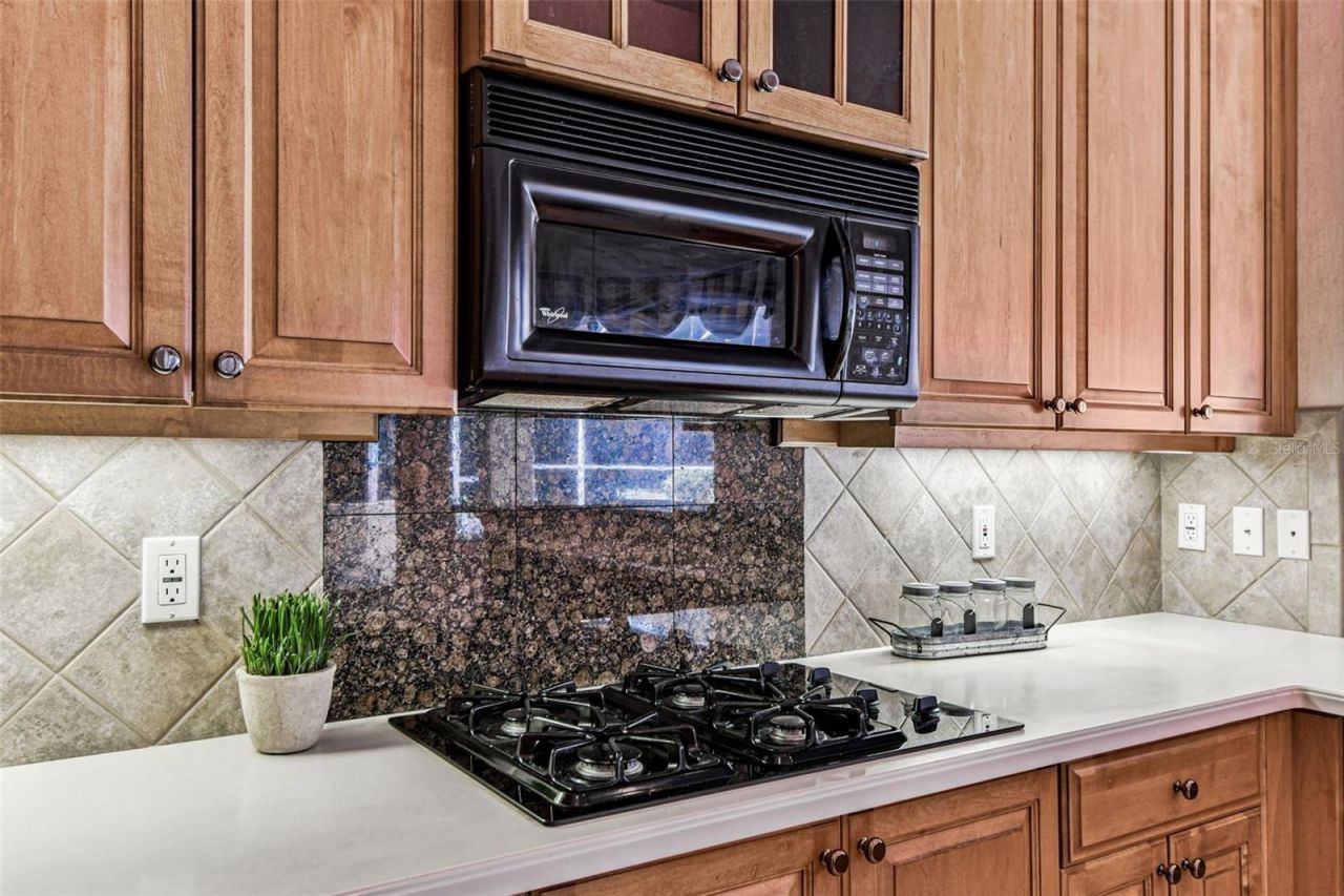 3988 Mimosa Place, Palm Harbor, FL 34685 Photo