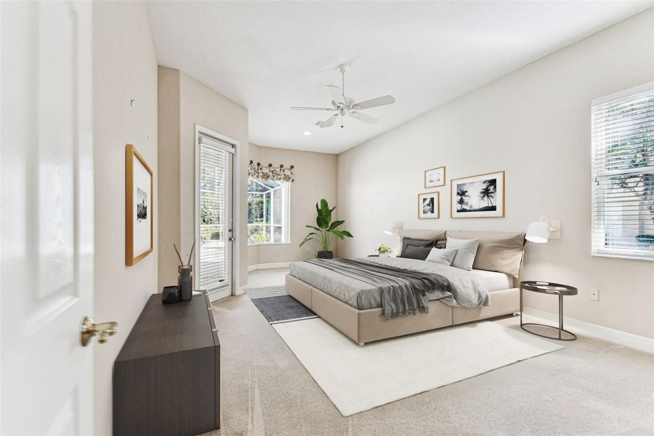 3988 Mimosa Place, Palm Harbor, FL 34685 Photo