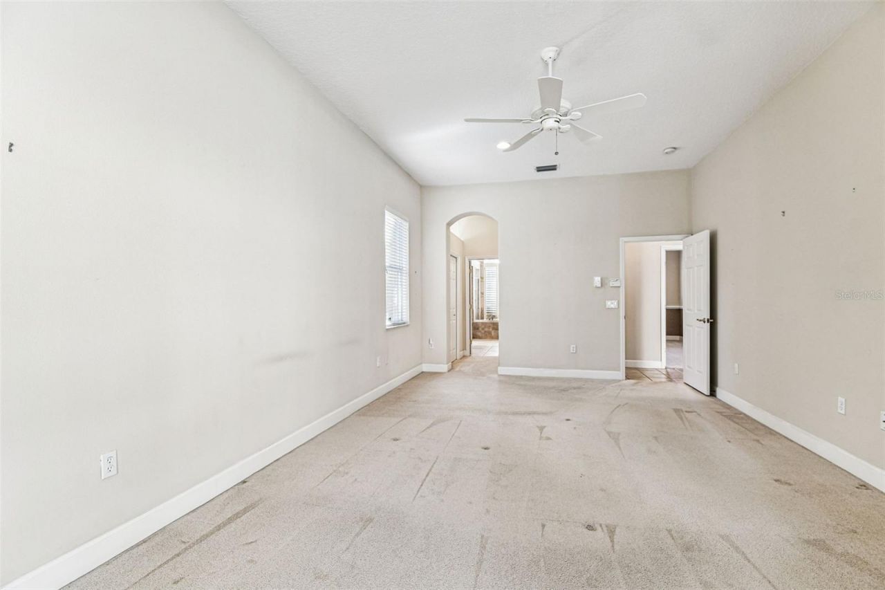 3988 Mimosa Place, Palm Harbor, FL 34685 Photo