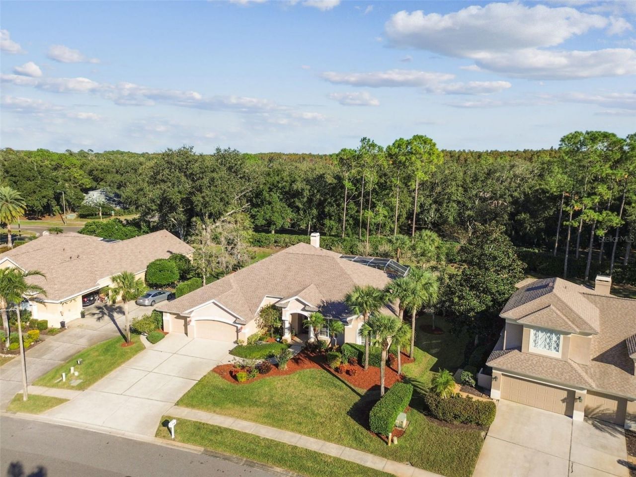 3988 Mimosa Place, Palm Harbor, FL 34685 Photo