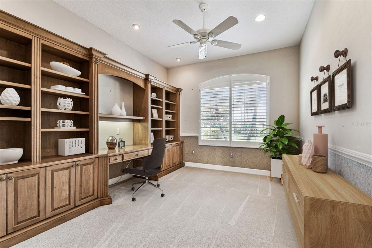 3988 Mimosa Place, Palm Harbor, FL 34685 Photo