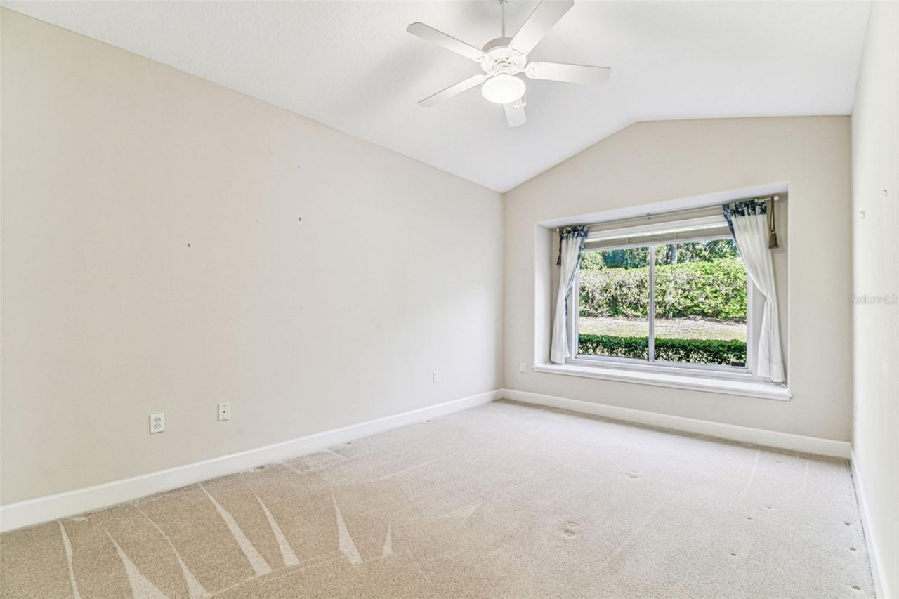 3988 Mimosa Place, Palm Harbor, FL 34685 Photo