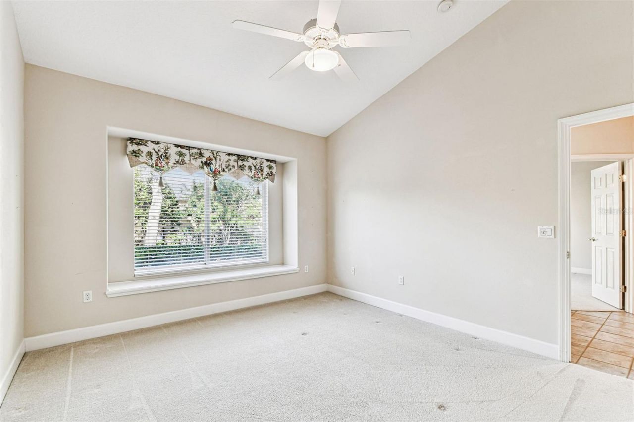 3988 Mimosa Place, Palm Harbor, FL 34685 Photo