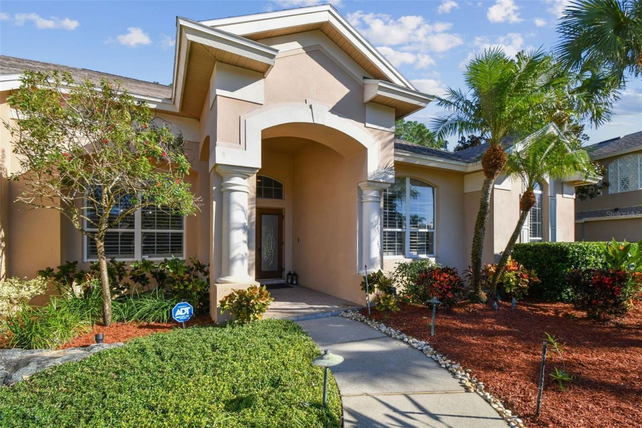 3988 Mimosa Place, Palm Harbor, FL 34685 Photo