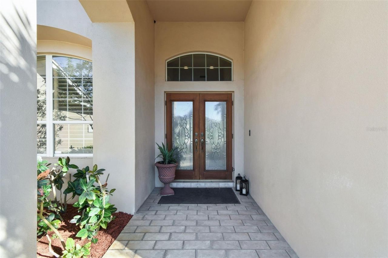 3988 Mimosa Place, Palm Harbor, FL 34685 Photo