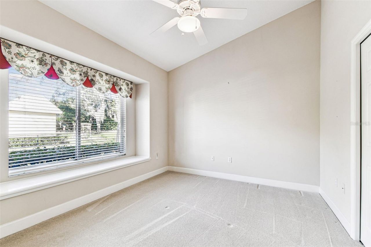 3988 Mimosa Place, Palm Harbor, FL 34685 Photo