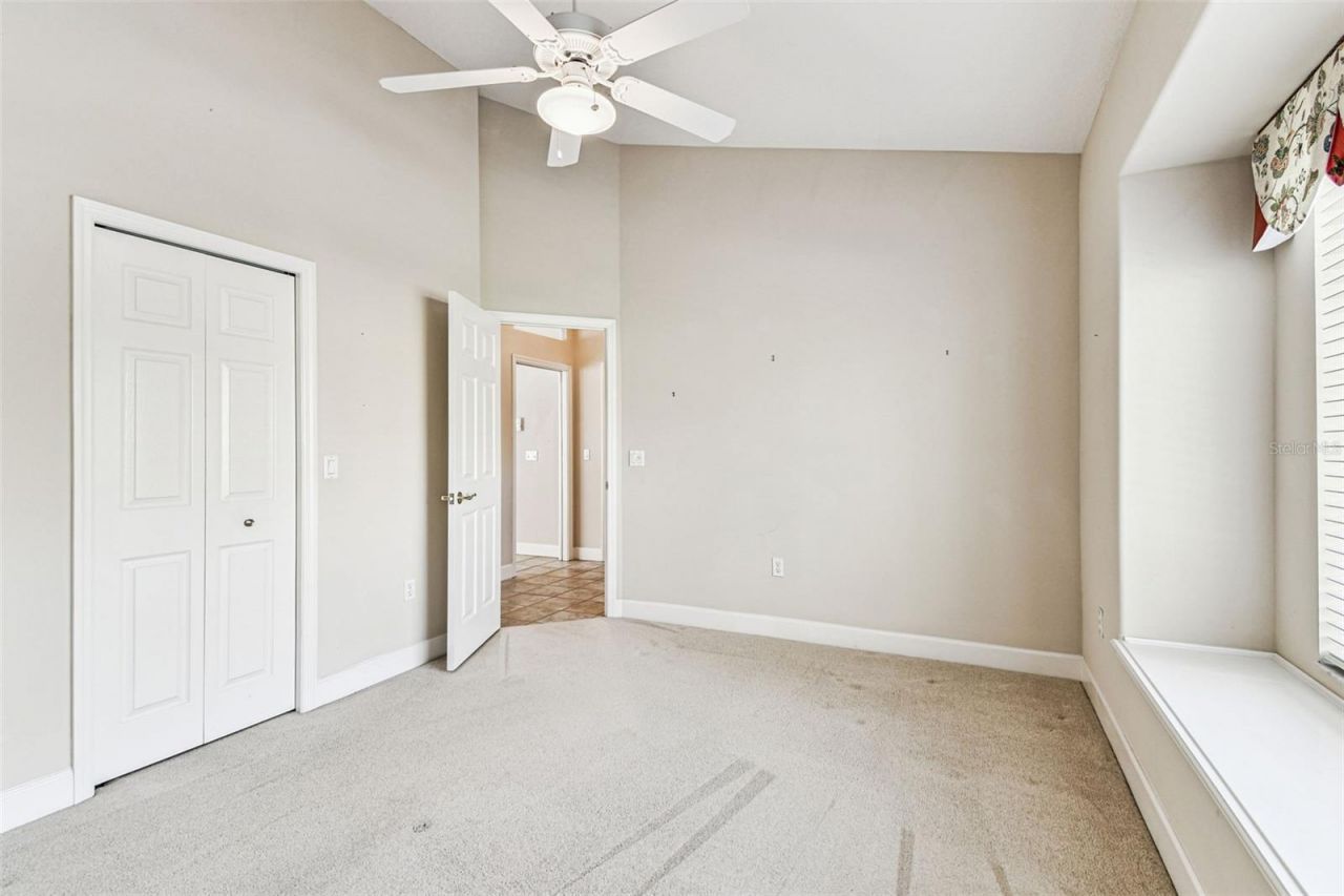 3988 Mimosa Place, Palm Harbor, FL 34685 Photo