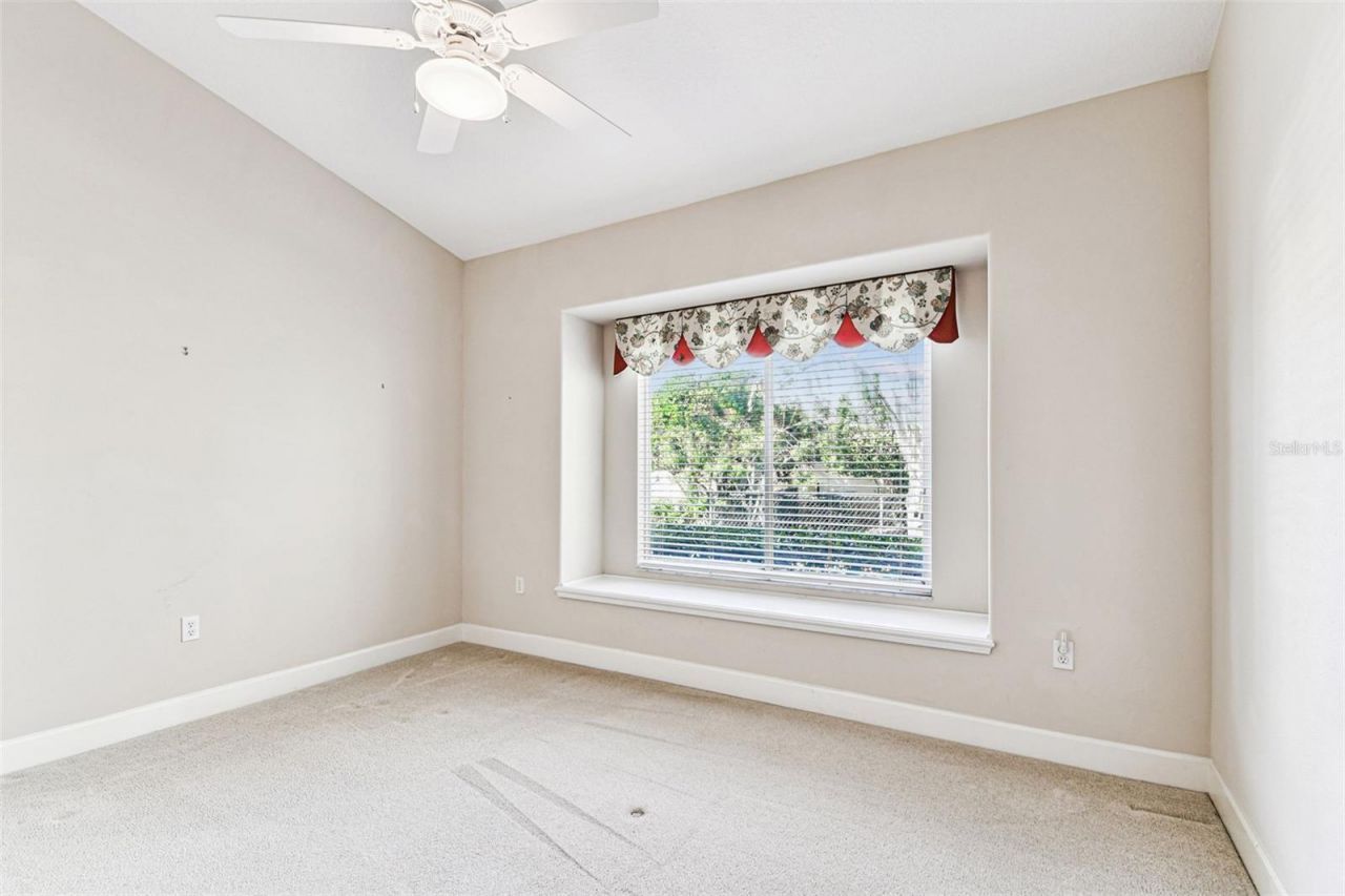 3988 Mimosa Place, Palm Harbor, FL 34685 Photo