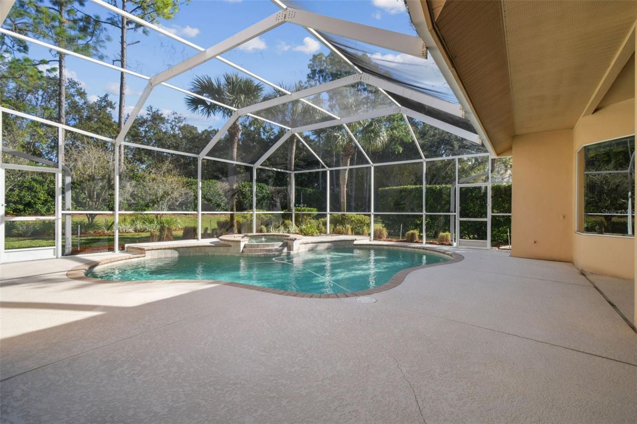 3988 Mimosa Place, Palm Harbor, FL 34685 Photo