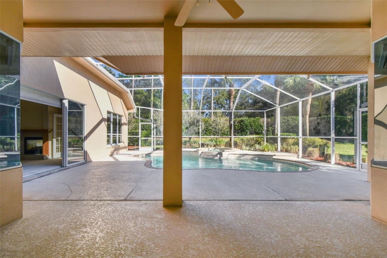 3988 Mimosa Place, Palm Harbor, FL 34685 Photo