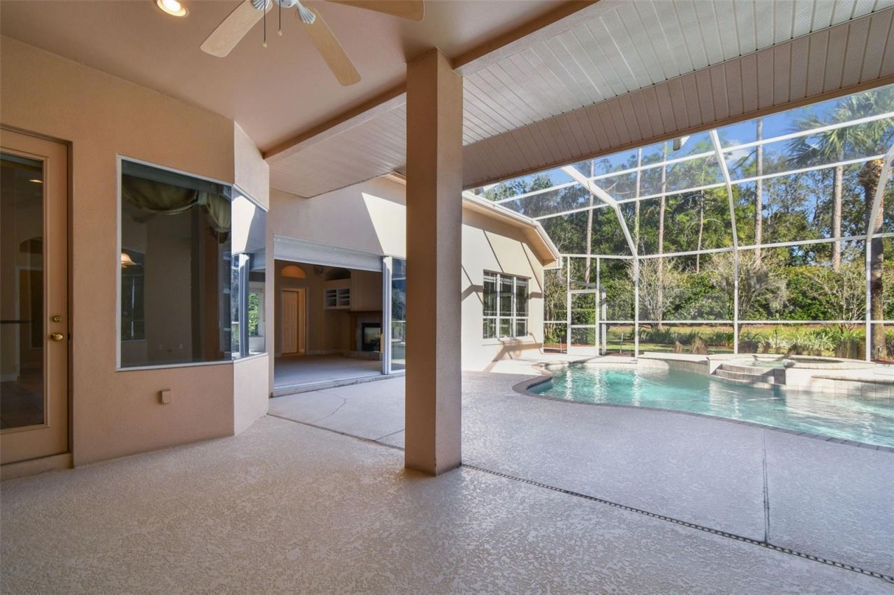 3988 Mimosa Place, Palm Harbor, FL 34685 Photo