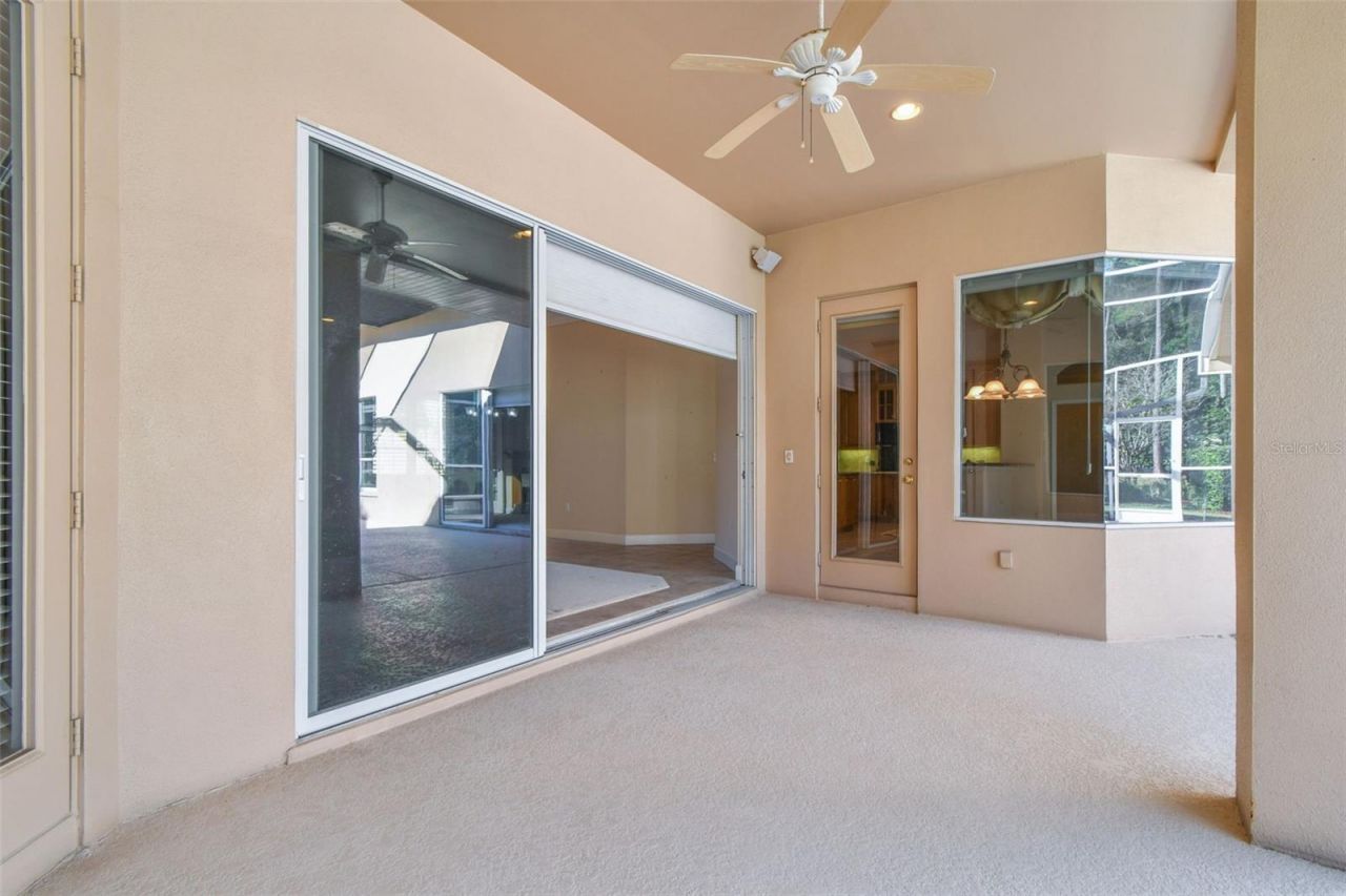 3988 Mimosa Place, Palm Harbor, FL 34685 Photo