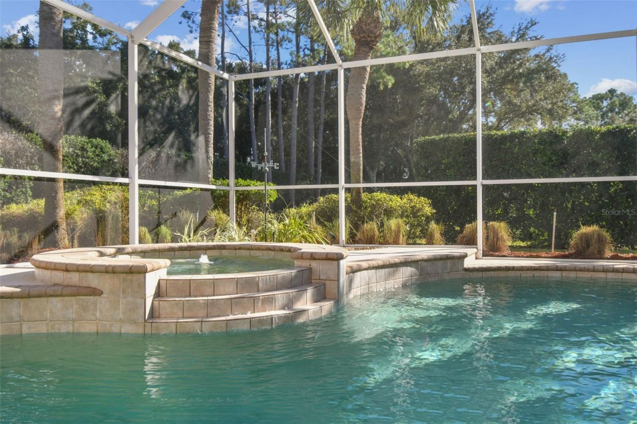 3988 Mimosa Place, Palm Harbor, FL 34685 Photo