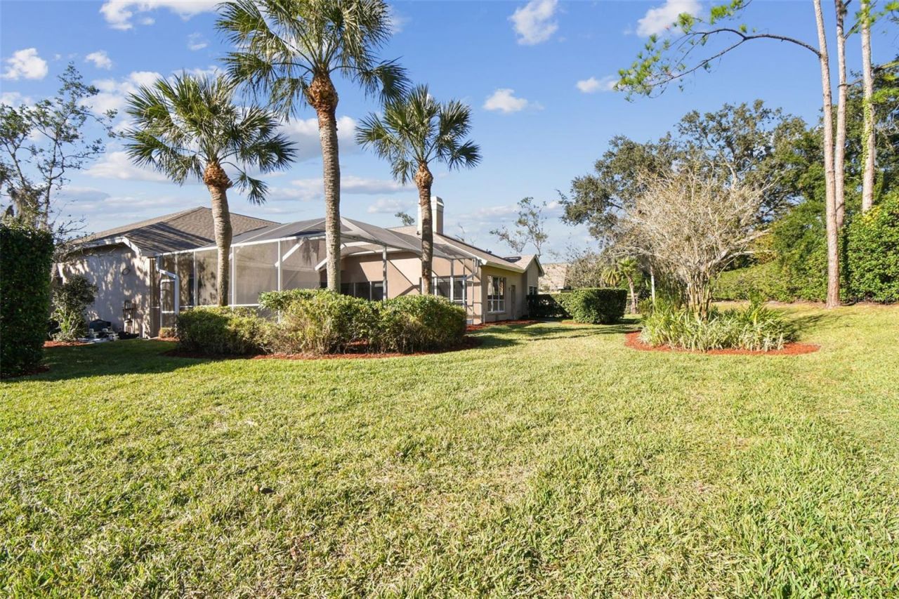 3988 Mimosa Place, Palm Harbor, FL 34685 Photo