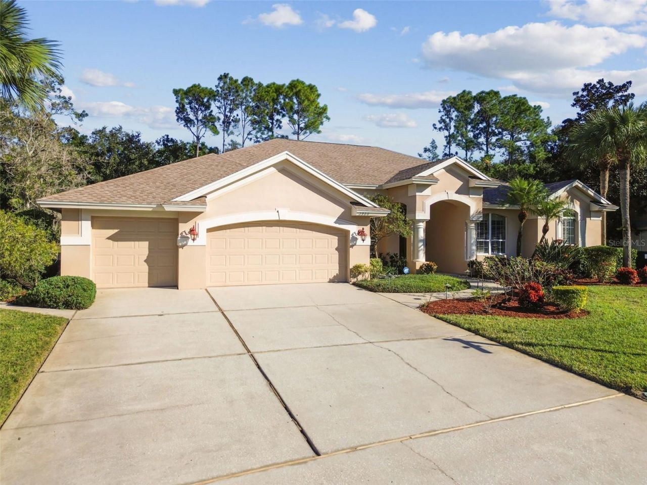 3988 Mimosa Place, Palm Harbor, FL 34685 Photo