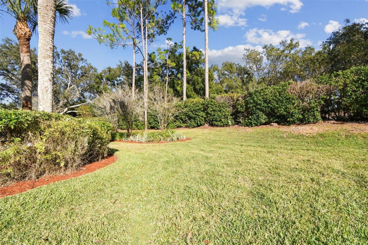 3988 Mimosa Place, Palm Harbor, FL 34685 Photo