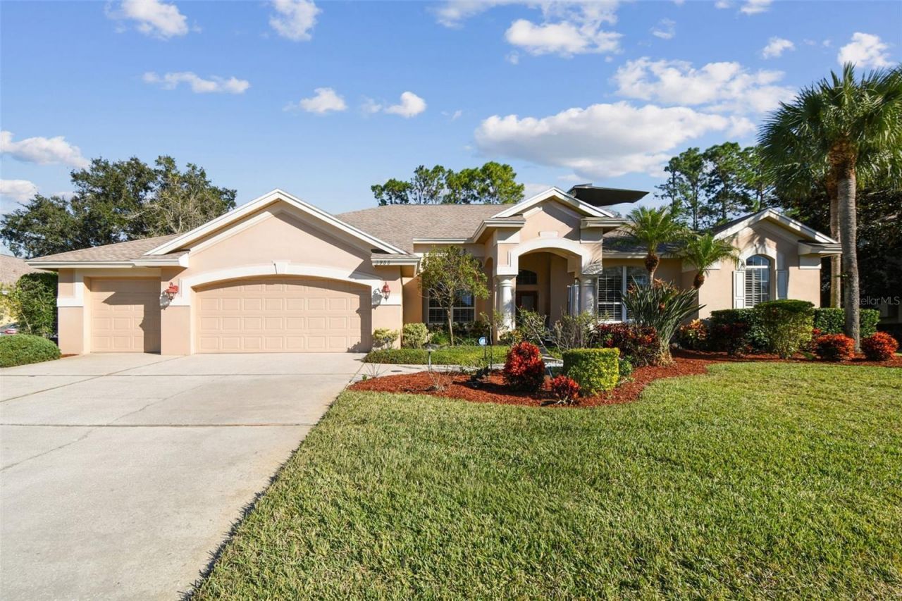 3988 Mimosa Place, Palm Harbor, FL 34685 Photo