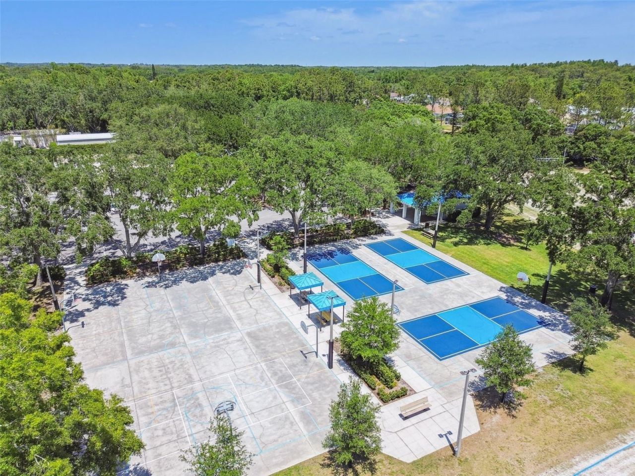 3988 Mimosa Place, Palm Harbor, FL 34685 Photo