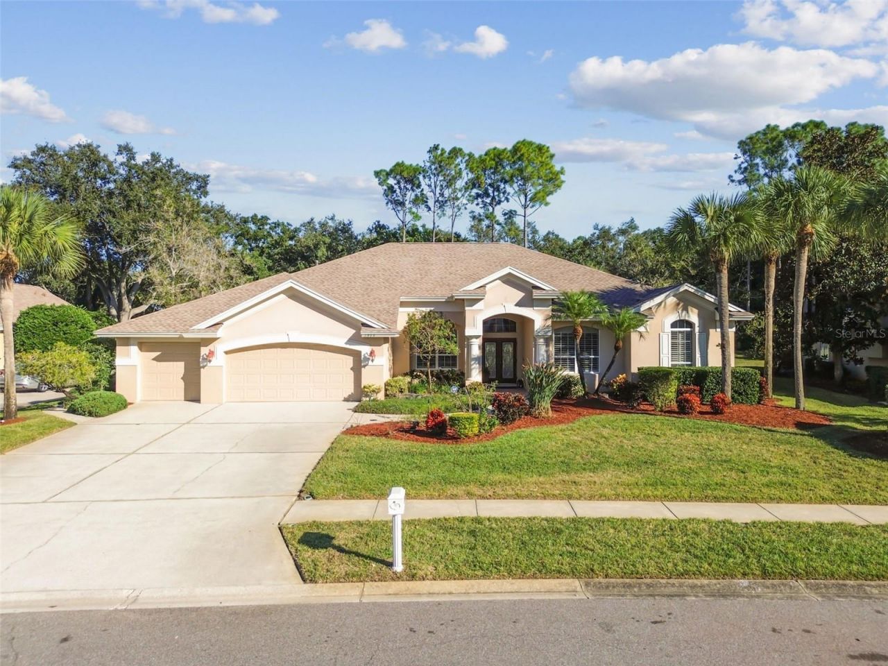 3988 Mimosa Place, Palm Harbor, FL 34685 Photo