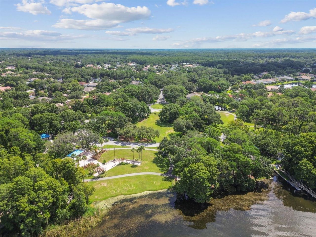 3988 Mimosa Place, Palm Harbor, FL 34685 Photo