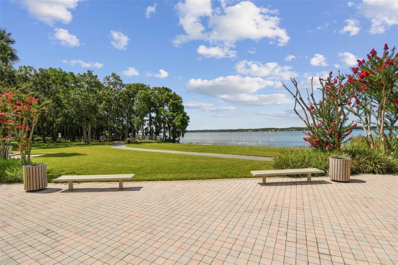3988 Mimosa Place, Palm Harbor, FL 34685 Photo