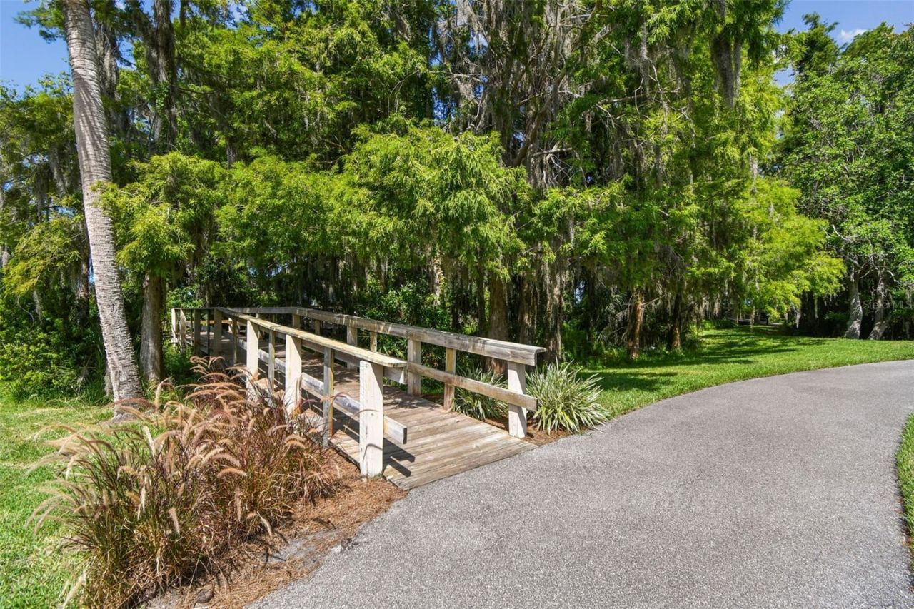 3988 Mimosa Place, Palm Harbor, FL 34685 Photo