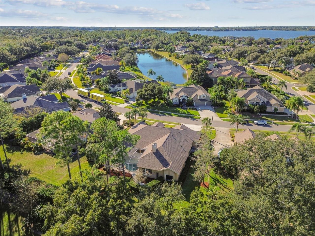 3988 Mimosa Place, Palm Harbor, FL 34685 Photo