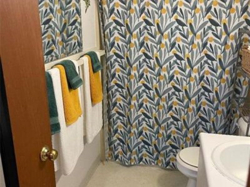 420 W Whiteman Street, Yellow Springs, OH 45387 Photo 20