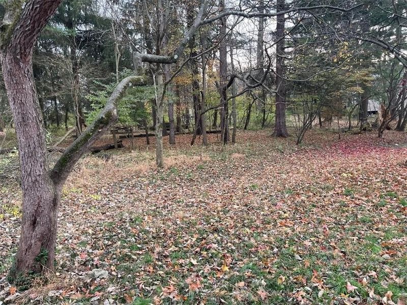 420 W Whiteman Street, Yellow Springs, OH 45387 Photo 35