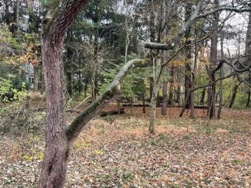 420 W Whiteman Street, Yellow Springs, OH 45387 Photo 36