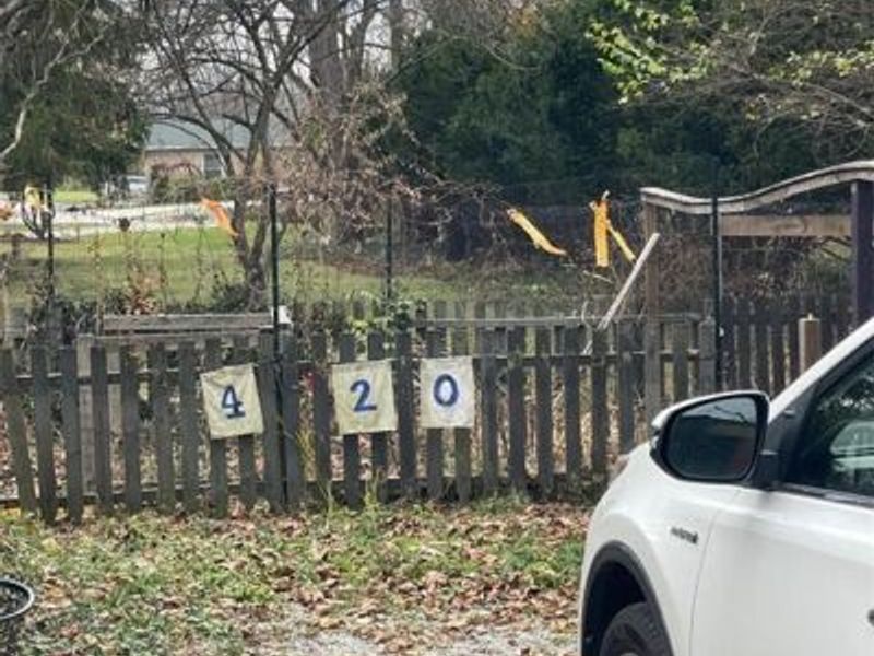 420 W Whiteman Street, Yellow Springs, OH 45387 Photo 41