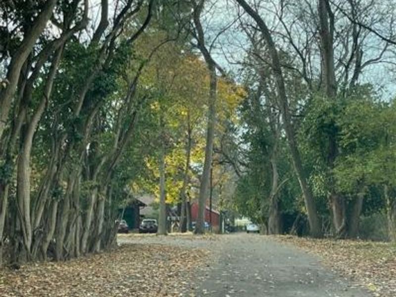 420 W Whiteman Street, Yellow Springs, OH 45387 Photo 45