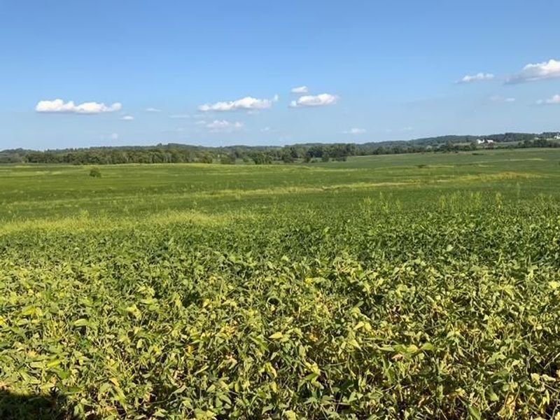 00 Duncan Road SW, Lancaster, OH 43130 Photo 4