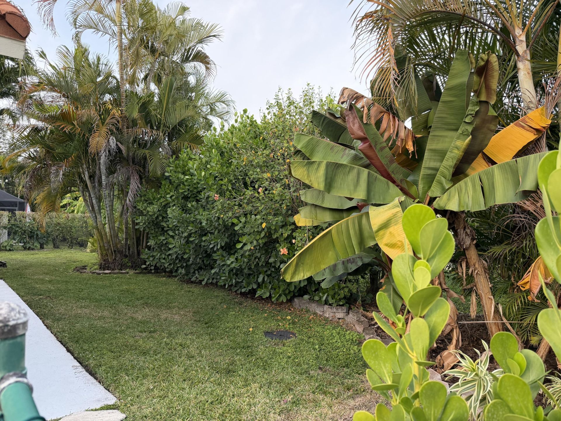 1343 Lake Breeze Drive, Wellington, FL 33414 Photo