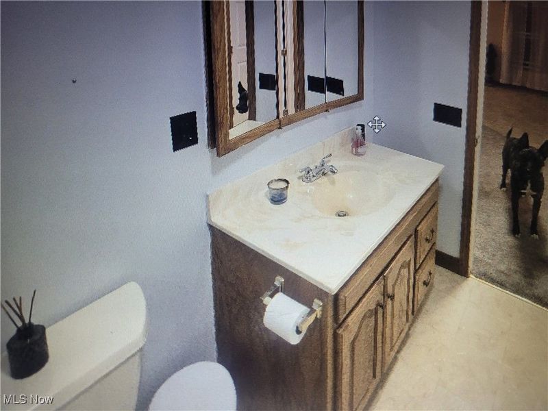 449 Southeast Avenue, Tallmadge, OH 44278 Photo 21