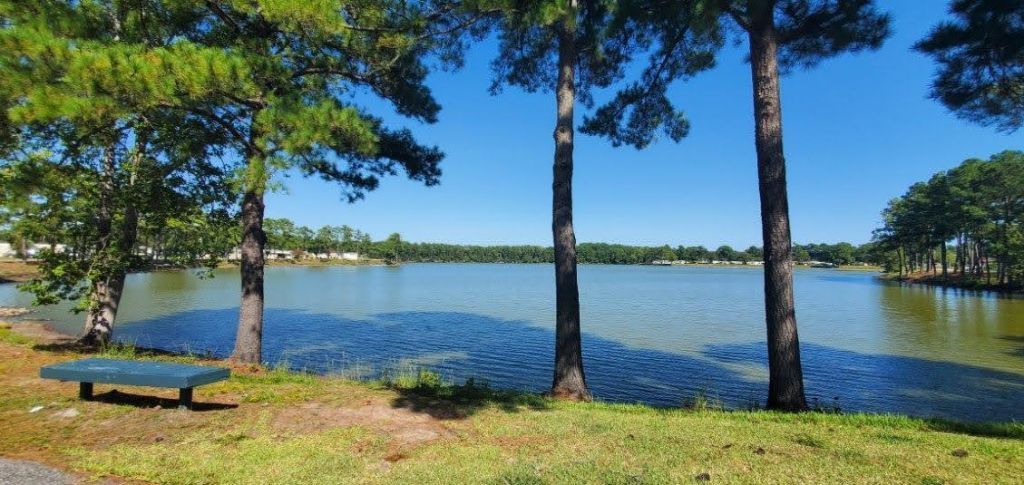 2729 Libra Drive Photo 28