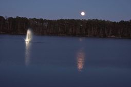 2729 Libra Drive photo 4