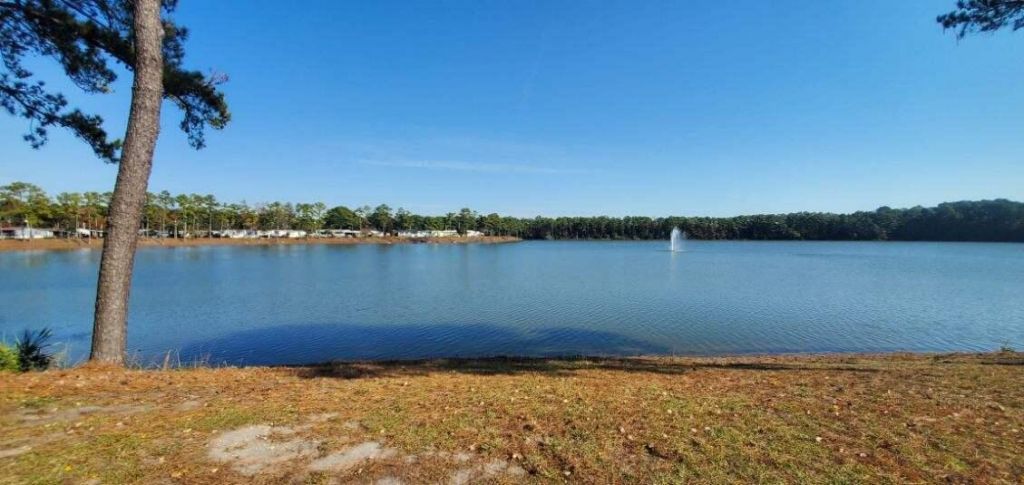 2729 Libra Drive Photo 46