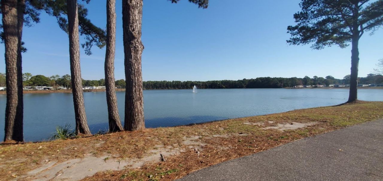 2729 Libra Drive Photo 47