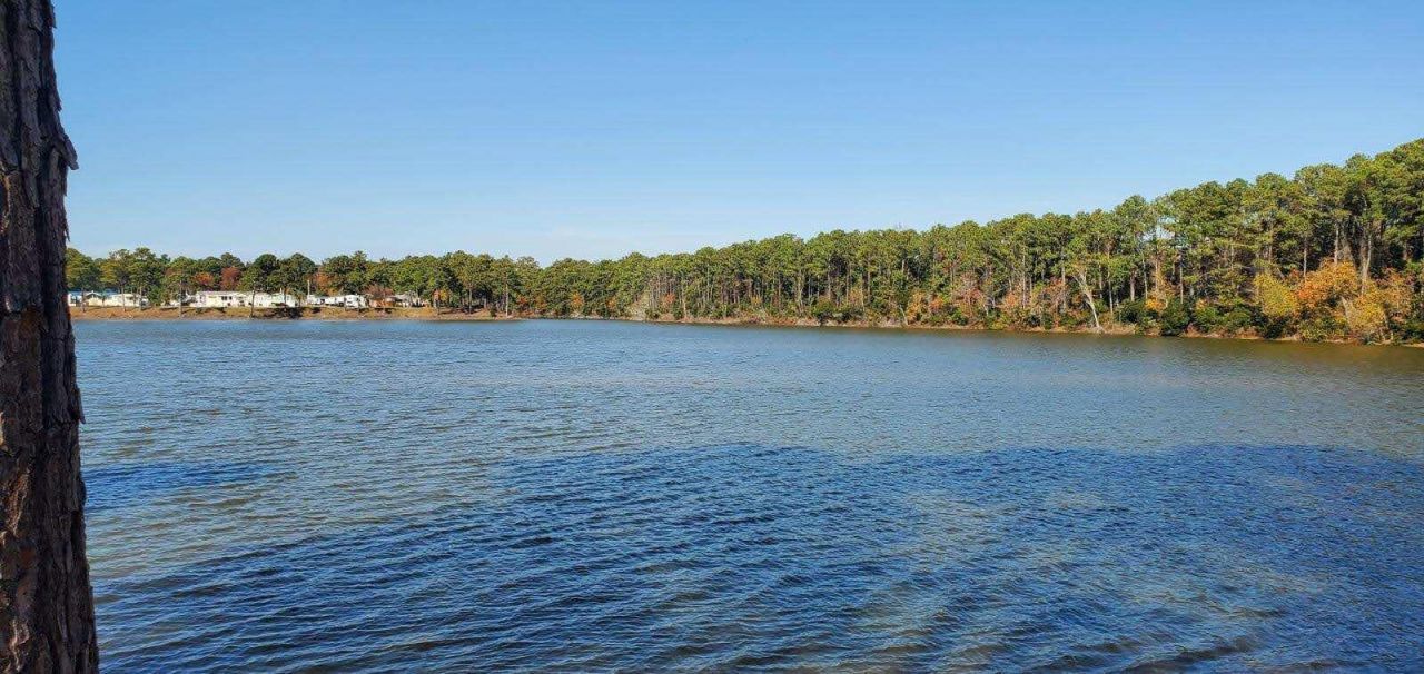 2729 Libra Drive Photo 49