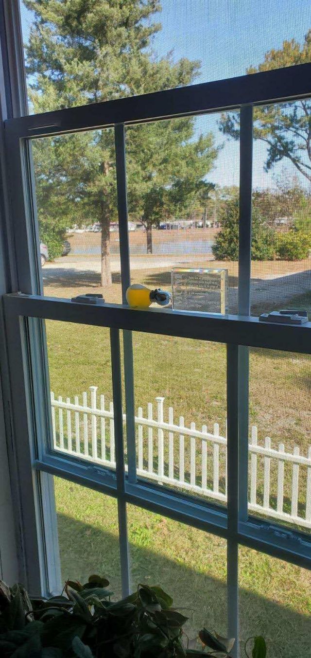 2729 Libra Drive Photo 61