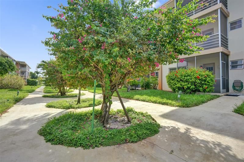 17001 NE 13th Avenue, Unit 104, Miami, FL 33162 Photo