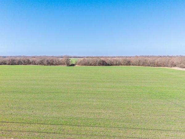 000 CR 3140, Pecan Gap, TX 75469