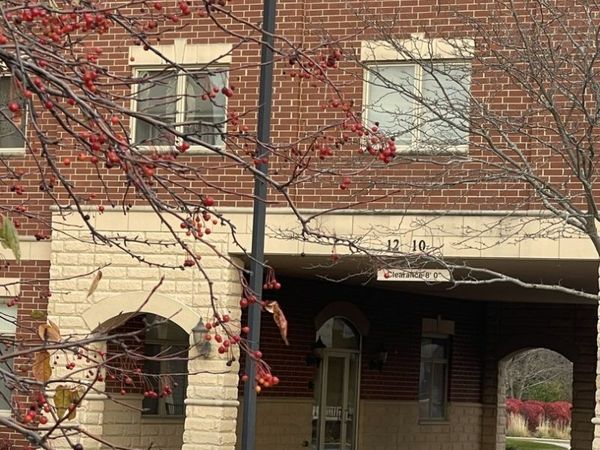 1210 N Foxdale Drive, Unit 109, Addison, IL 60101