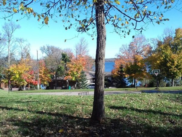 897 White Clover Beach Road, Detroit Lakes, MN 56501