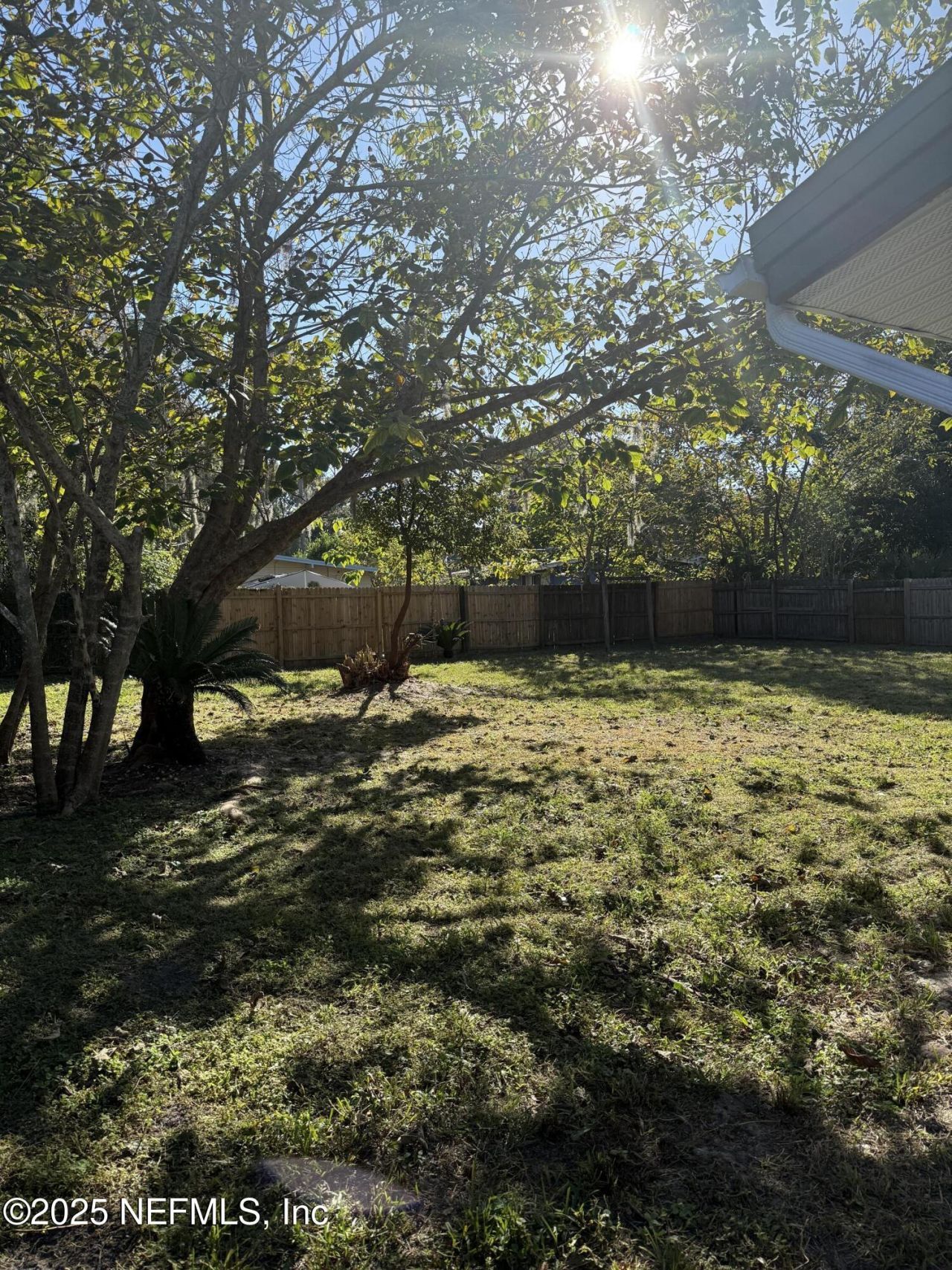 6226 Elise Drive, Jacksonville, FL 32211 Photo